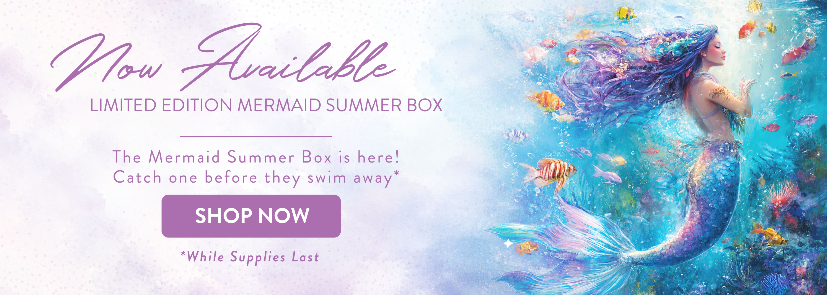 2026 mermaid summer box