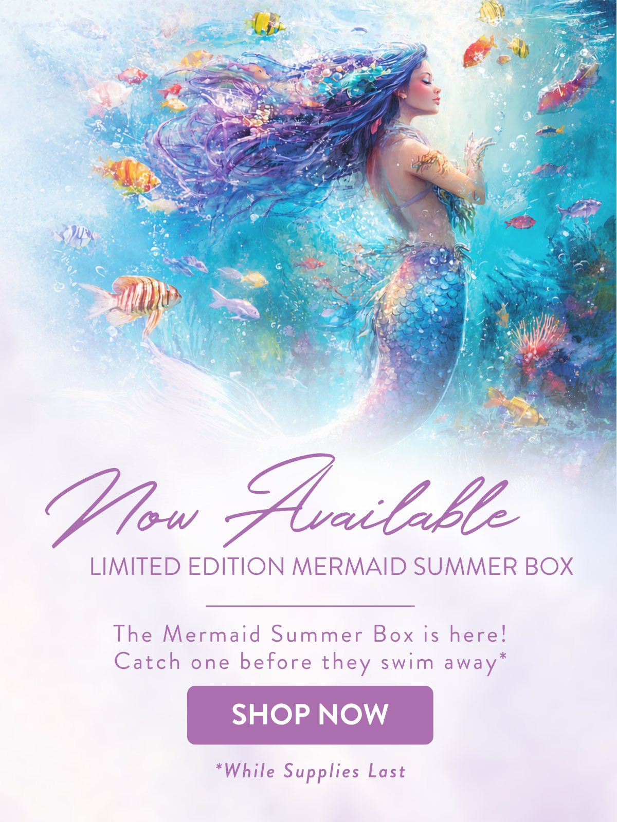 2026 mermaid summer box
