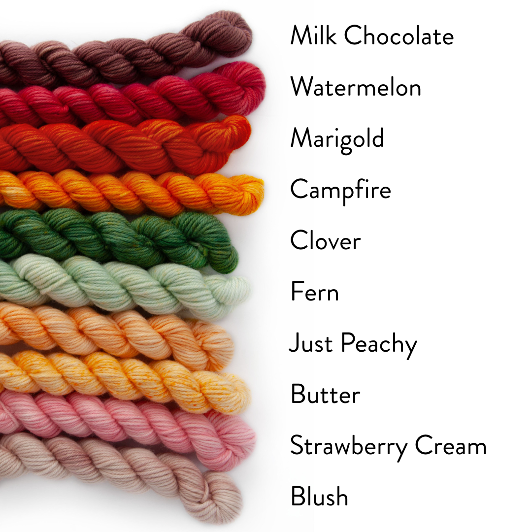 COLORSTORY DK COLOR SAMPLER- "Garden" Colorway