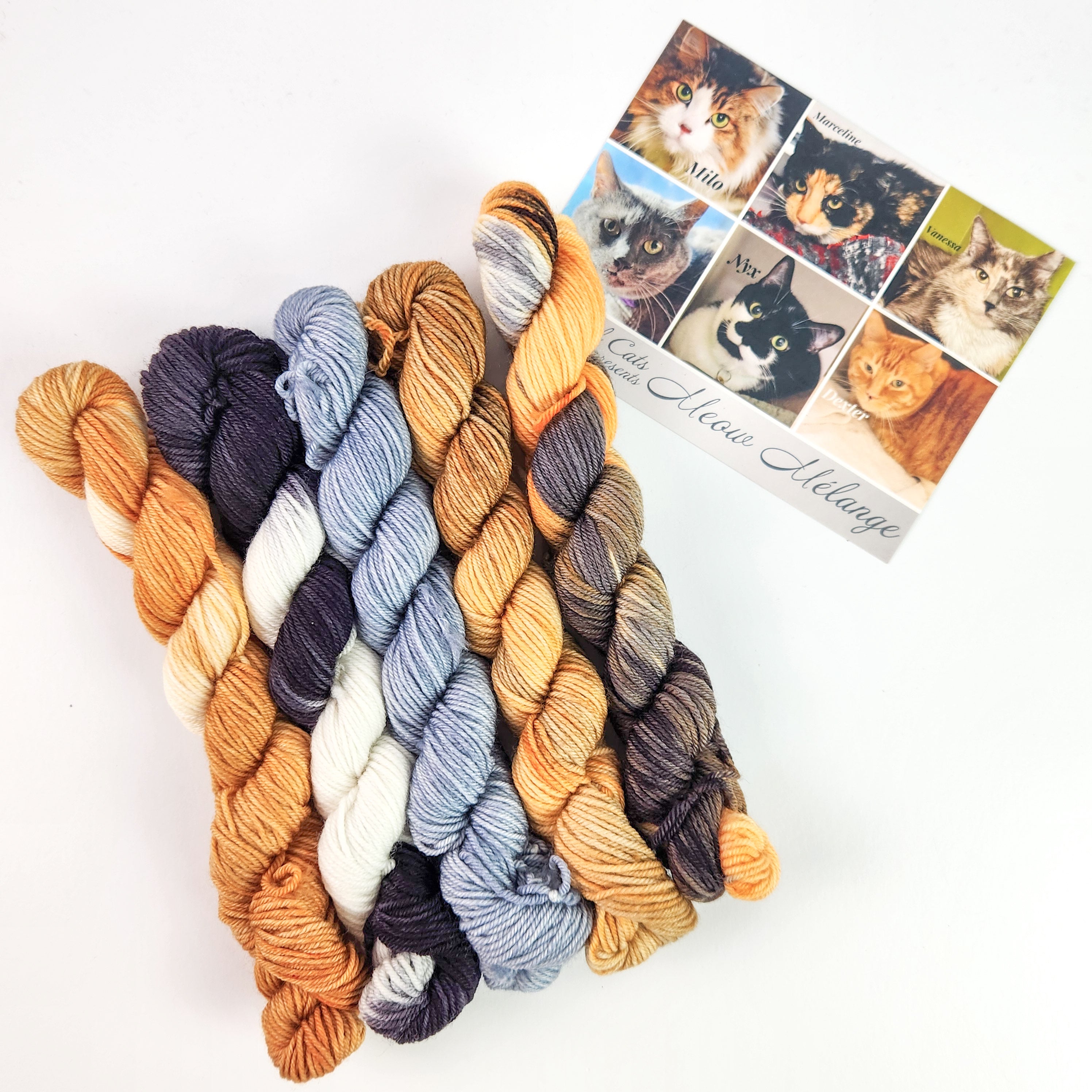 Meow Melange Mini Skein Kit - 5 mini skein Fingering Weight Yarn Pack