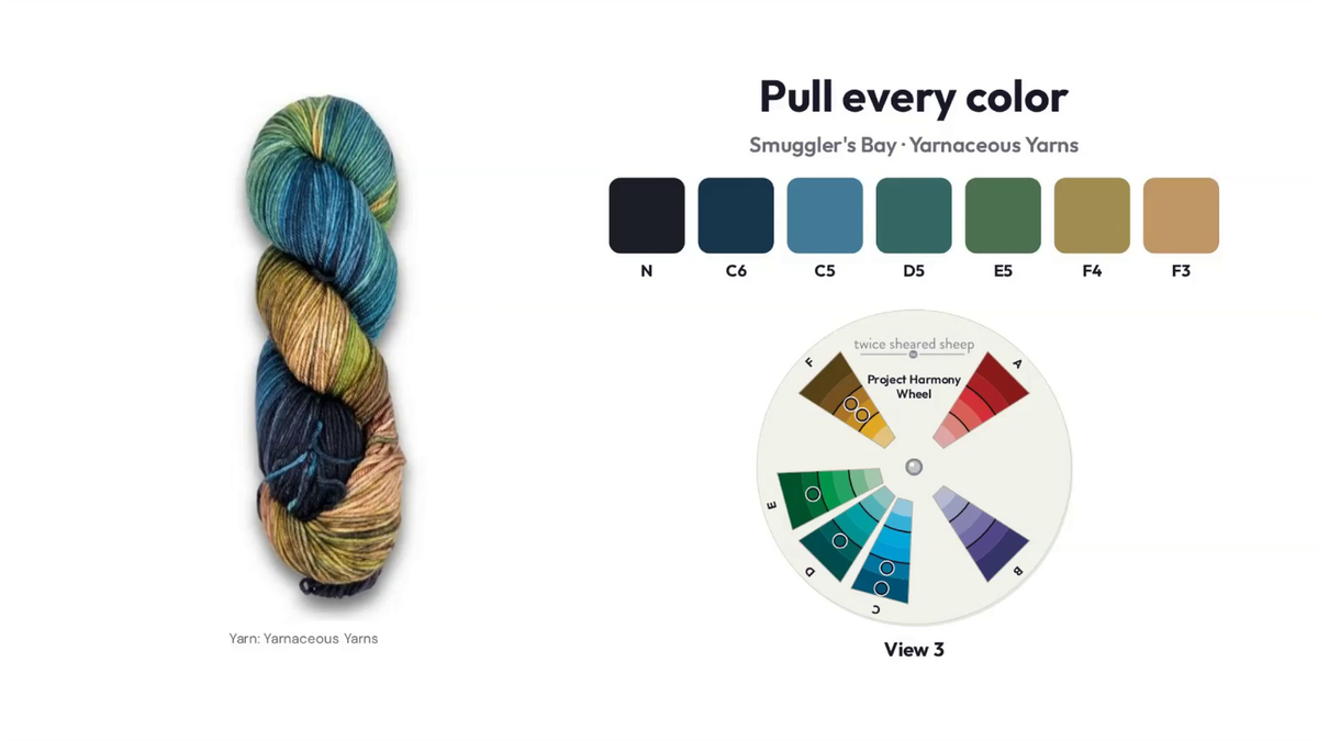 Class slide: Smuggler's Bay variegated yarn from Yarnaceous Yarns with every color pulled into a palette on the Project Harmony Color Wheel