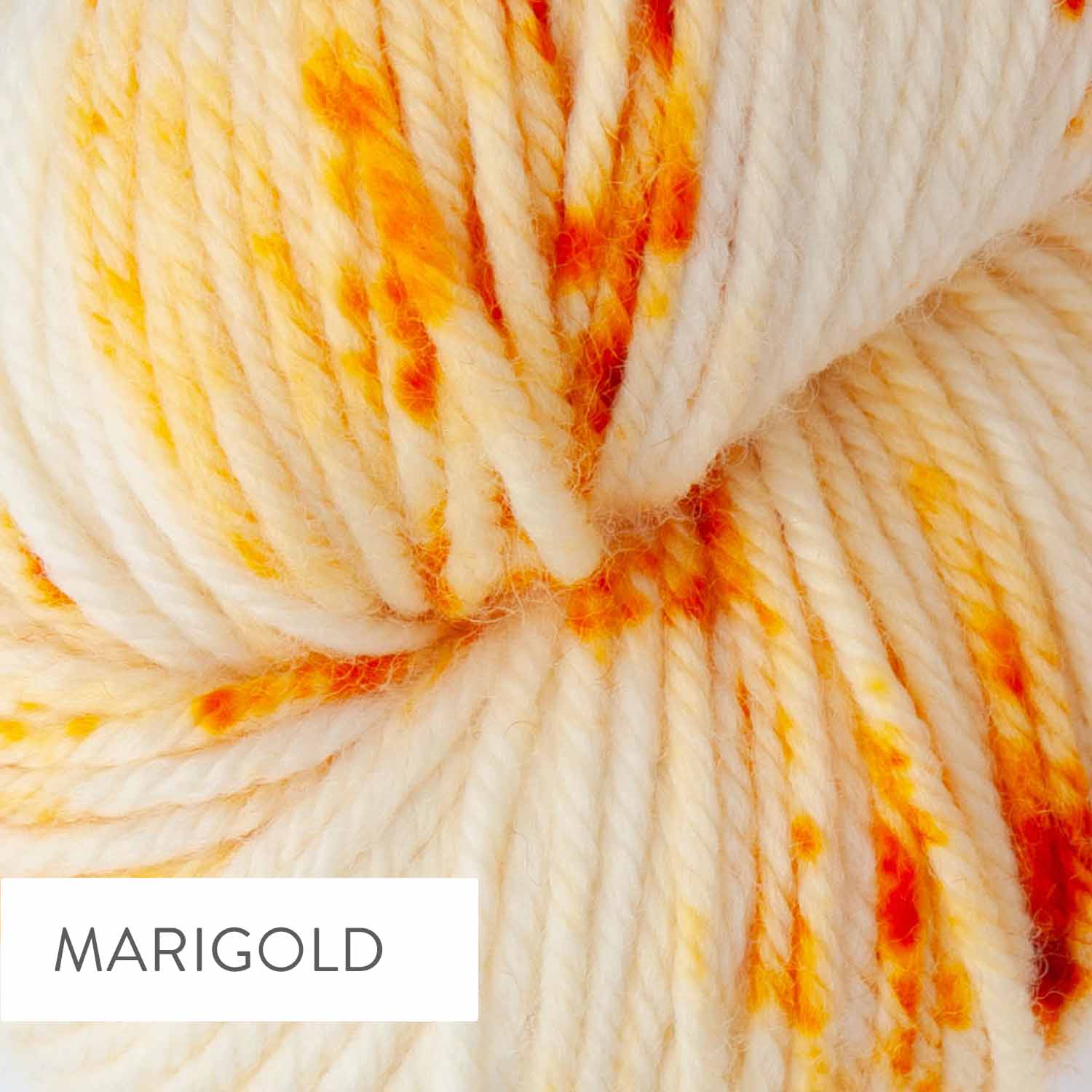 COLORSTORY DK CONFETTI - Hand Dyed DK Weight 100% Superwash Merino Yarn