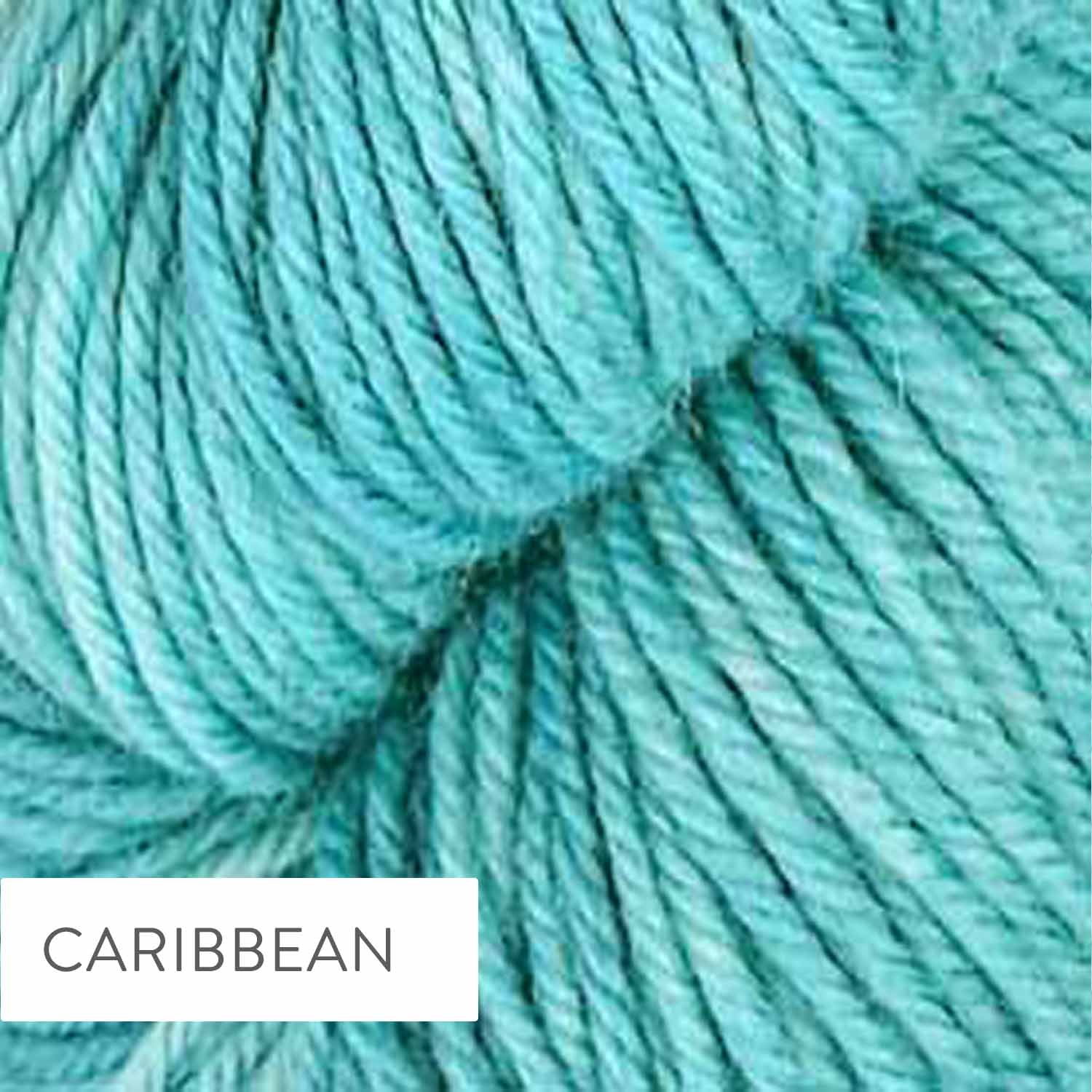 COLORSTORY DK - Hand Dyed DK Weight 100% Superwash Merino Yarn