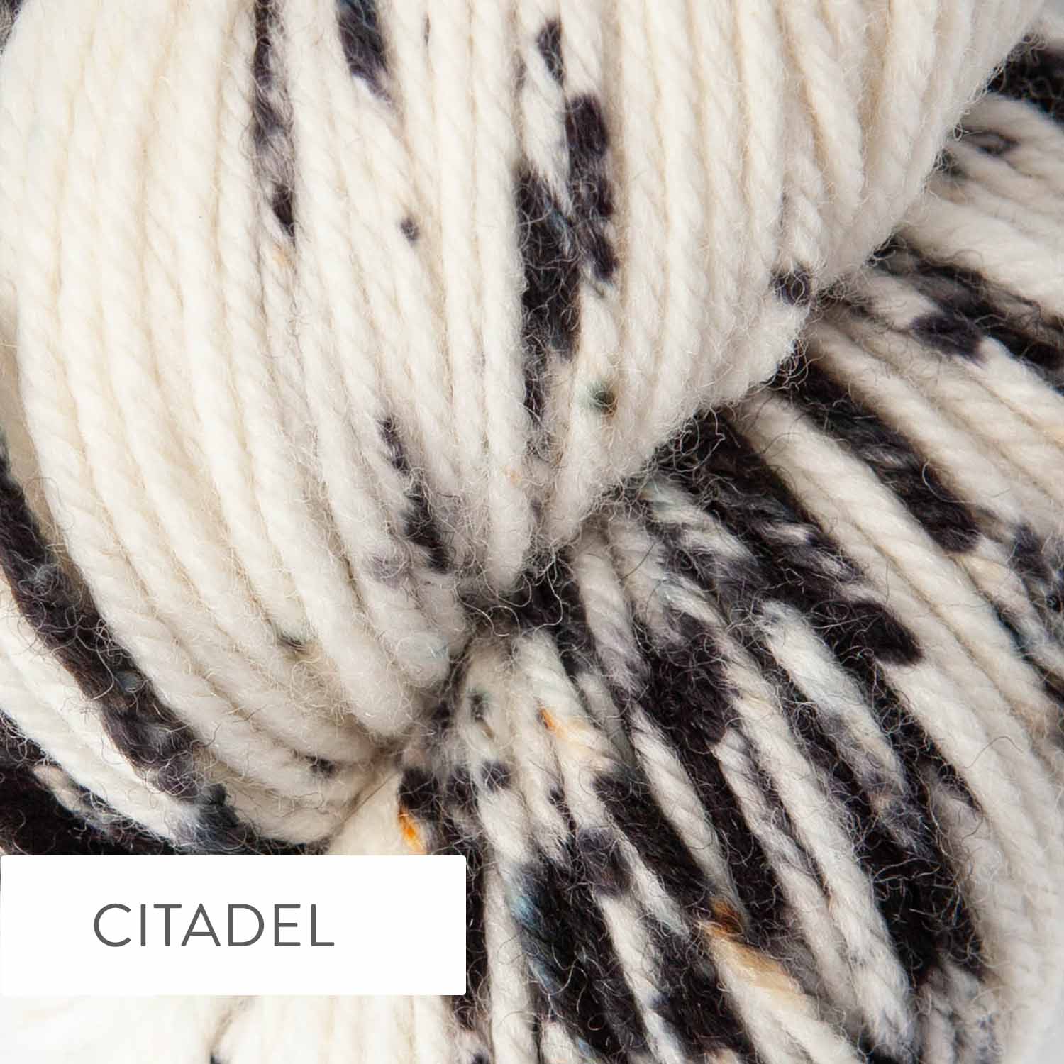 COLORSTORY DK CONFETTI - Hand Dyed DK Weight 100% Superwash Merino Yarn