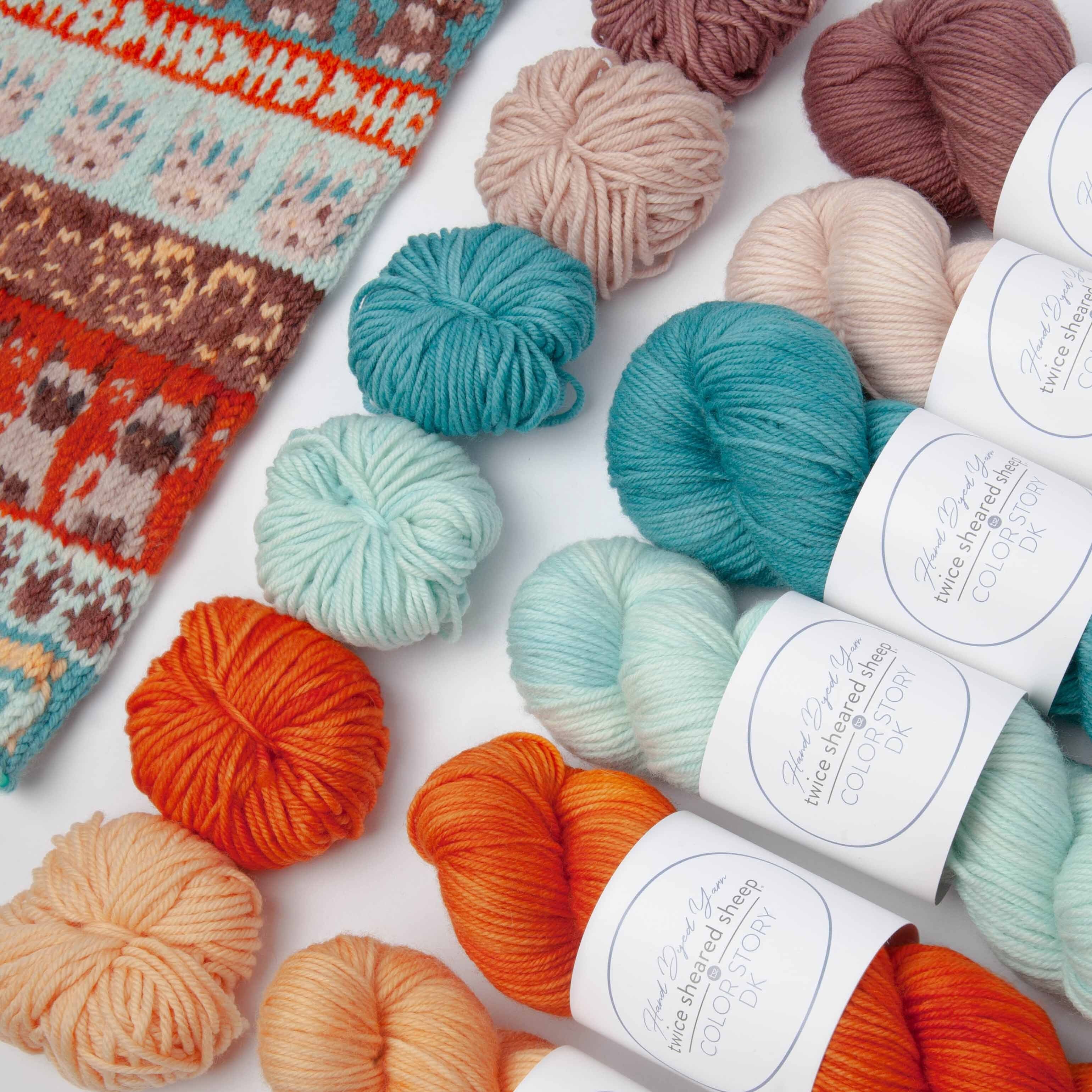 COLORSTORY DK - Hand Dyed DK Weight 100% Superwash Merino Yarn