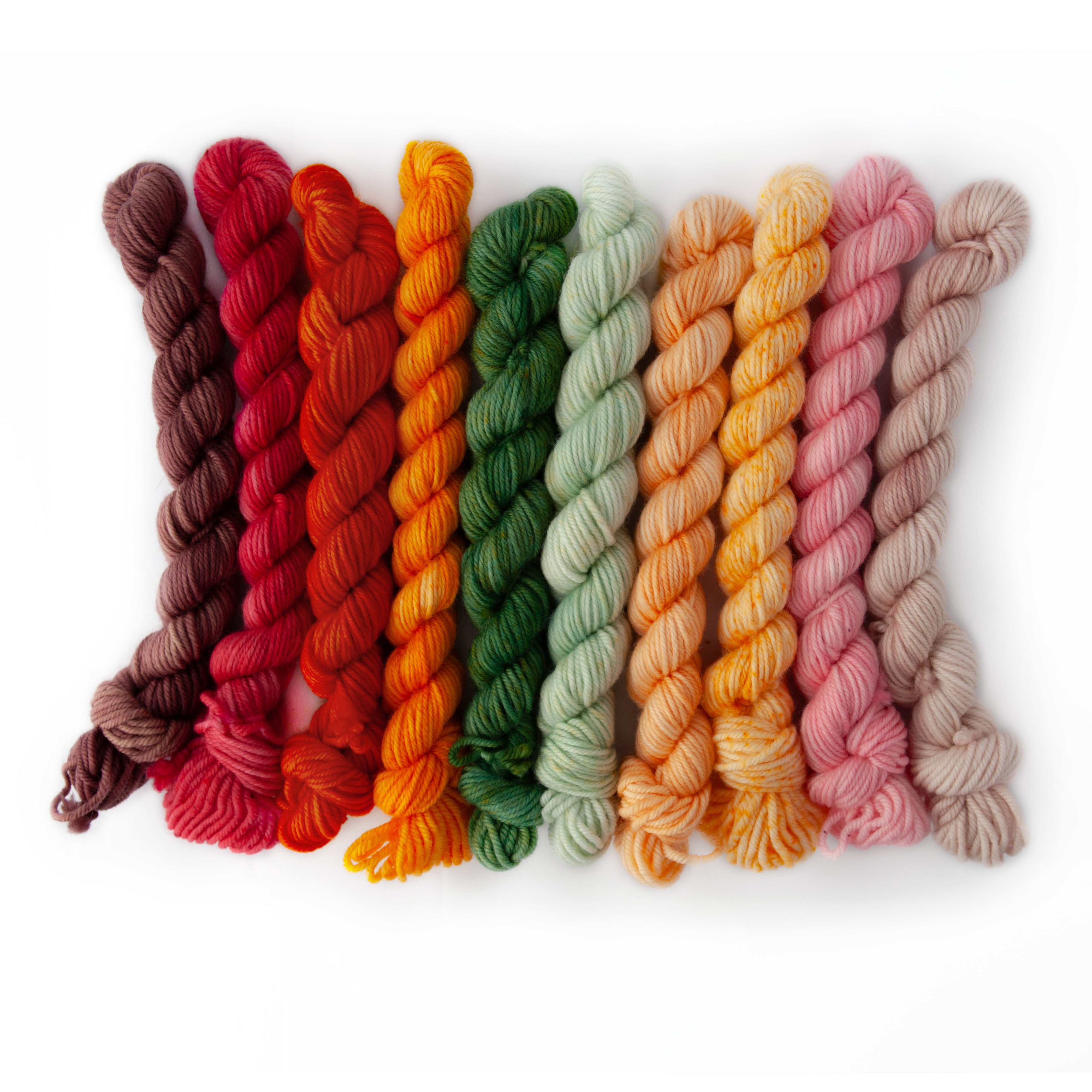 COLORSTORY DK COLOR SAMPLER- "Garden" Colorway