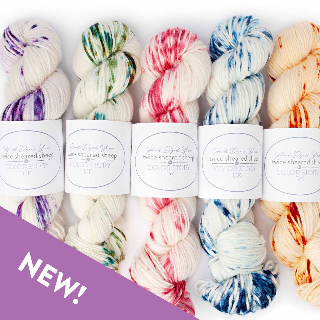 COLORSTORY DK CONFETTI - Hand Dyed DK Weight 100% Superwash Merino Yarn