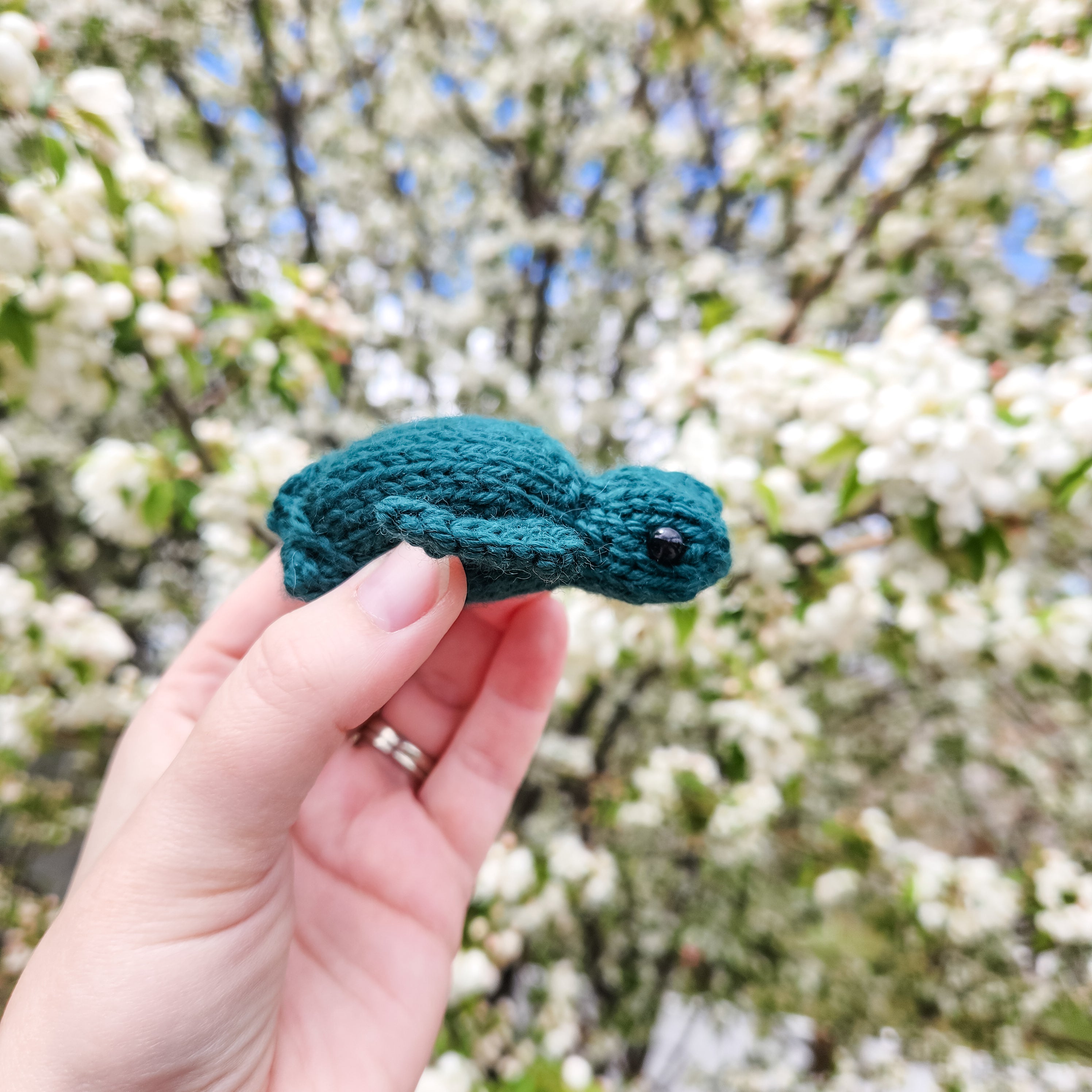 Ocean Buddies Single - Sea Turtle