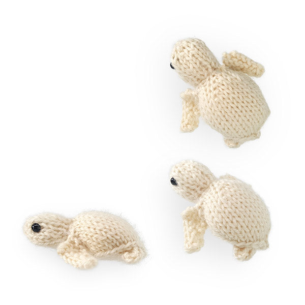 Sea Turtle Trio