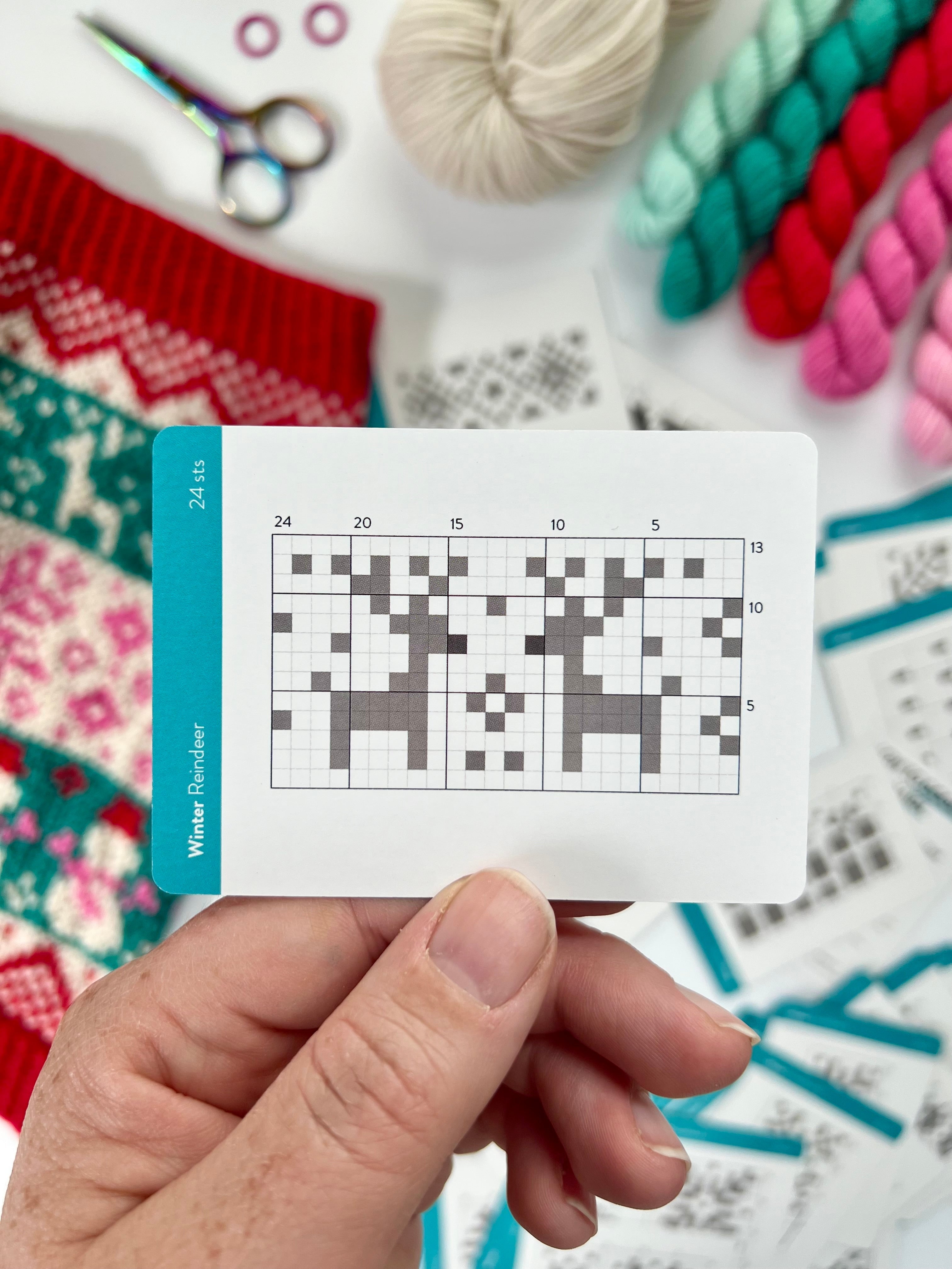 Hand holding a Winter Doodle reindeer colorwork chart card
