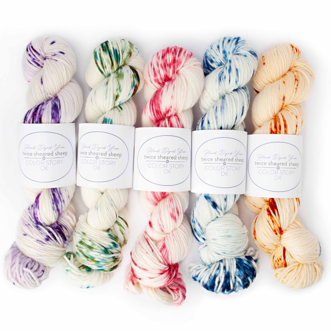 COLORSTORY DK CONFETTI - Hand Dyed DK Weight 100% Superwash Merino Yarn